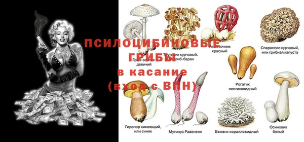 стафф Алзамай